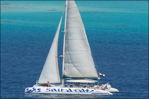 Sail a cat